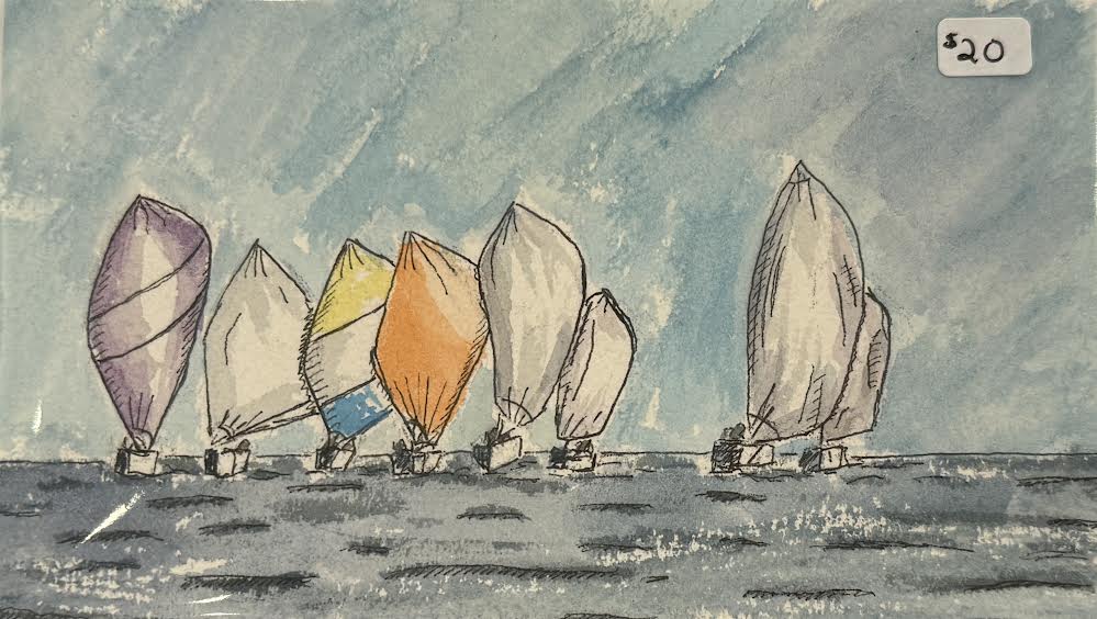 Sail Races