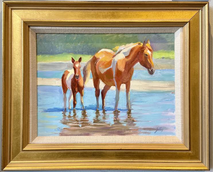 Assateague Ponies
