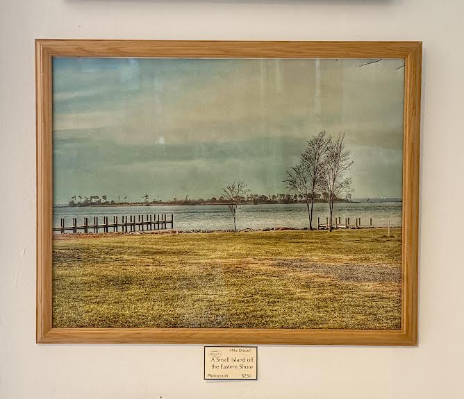 A Small Island off the Eastern Shore