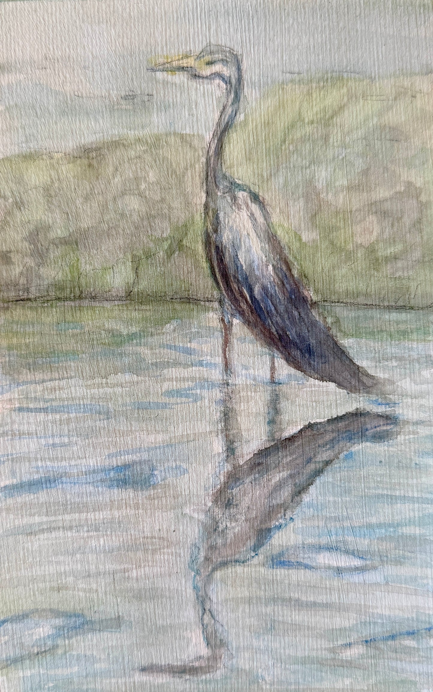 Annapolis Heron