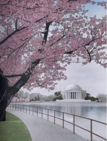Color Cherry Blossoms and Jefferson Memorial