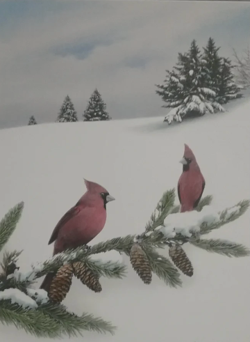 Color, Cardinals