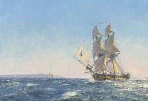 COMMAND - BRIG TEAZER