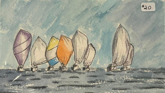Sail Races
