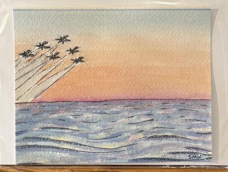 USNA Blue Angels