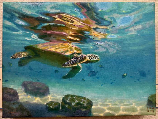 A Time For Reflection