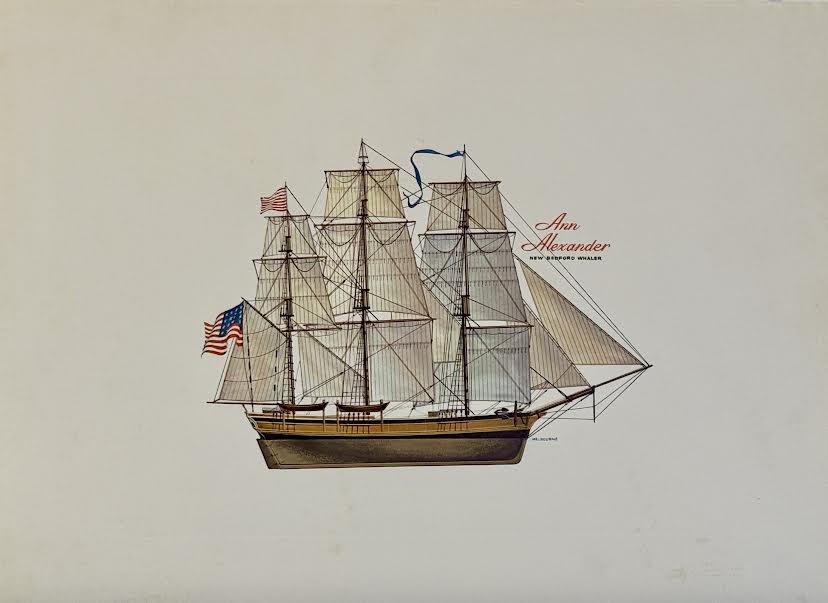 Ann Alexander, New Bedford Whaler