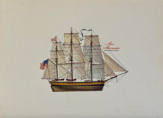 Ann Alexander, New Bedford Whaler