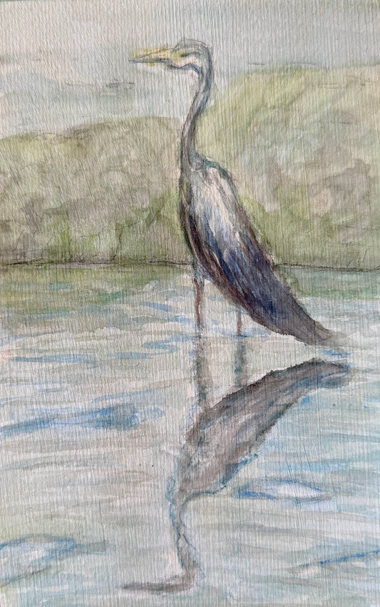 Annapolis Heron