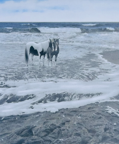 Color Assateague Ponies II