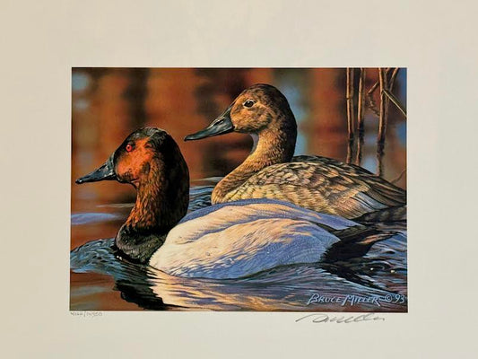 1993 Federal Duck Stamp