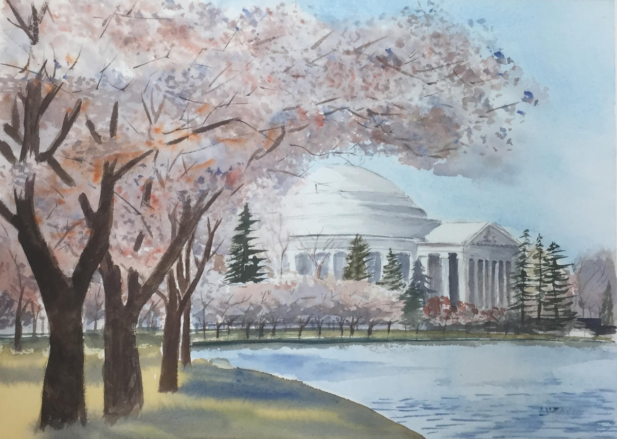Cherry Blossoms