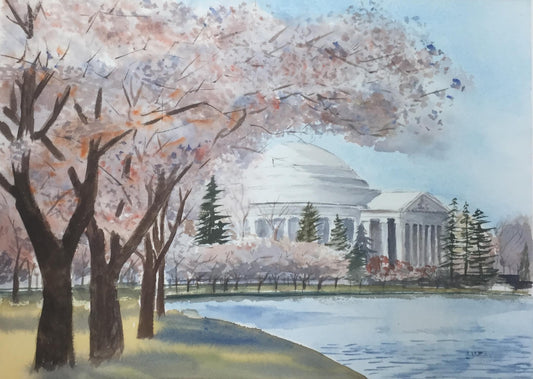 Cherry Blossoms