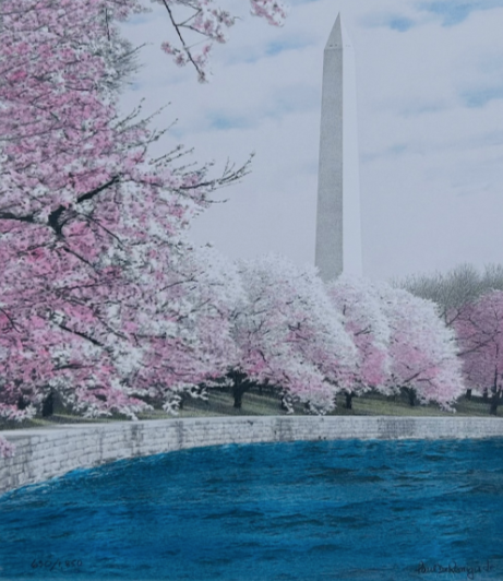 Color Cherry Blossoms, Washington Monument