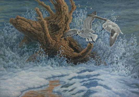 Through The Surf
