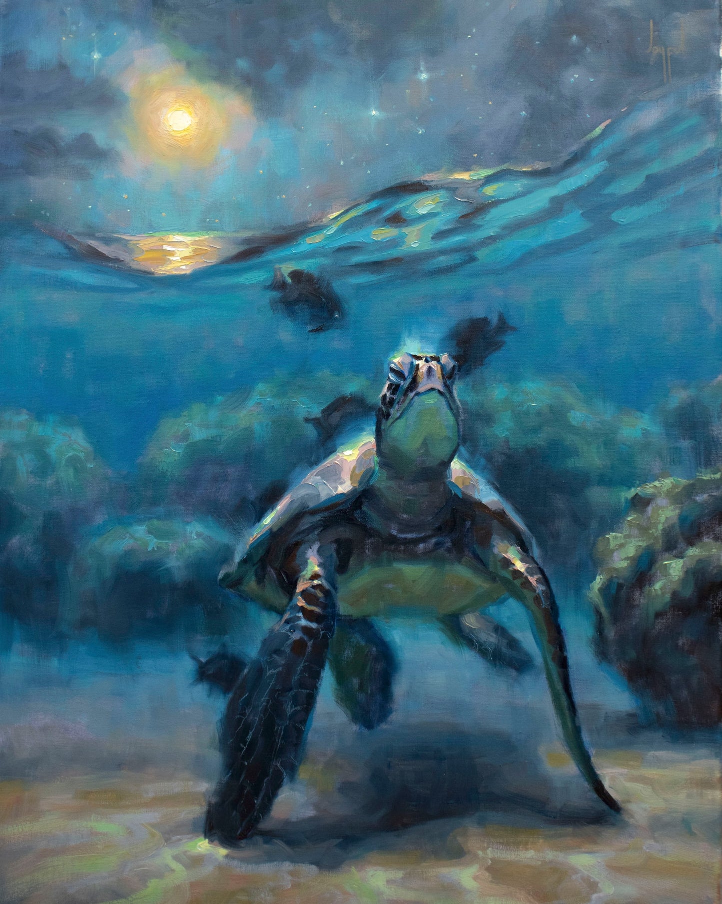 Honu's Spa Getaway