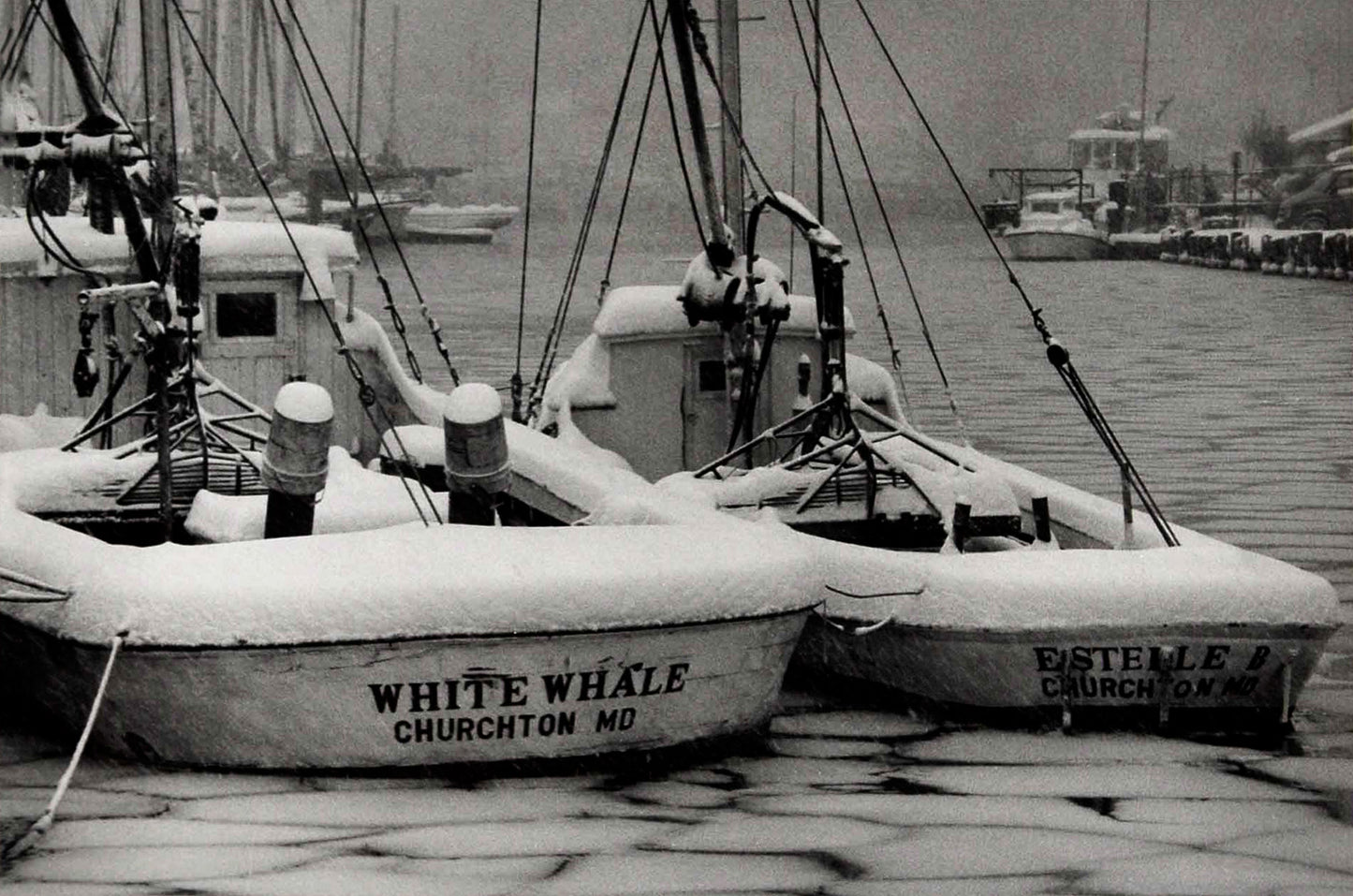 White Whale and Estelle B