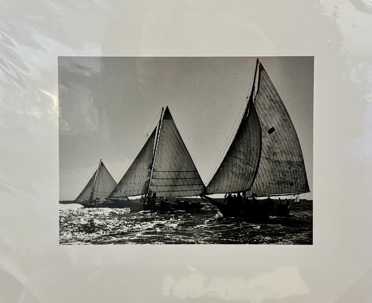 Sailing Regatta