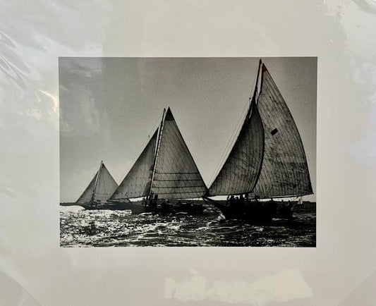 Sailing Regatta
