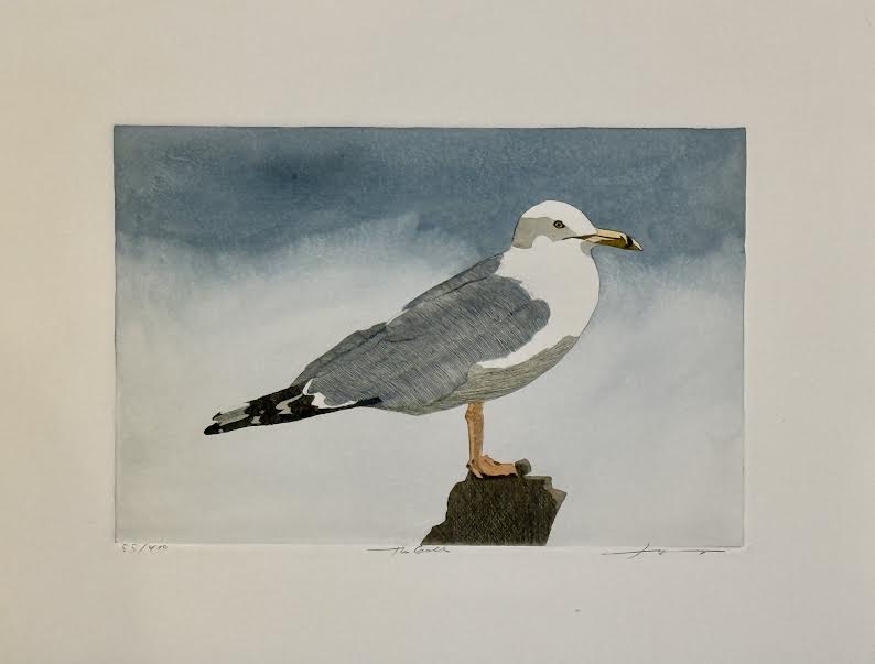 The Gull