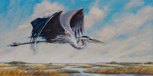 HERON IN FLIGHT