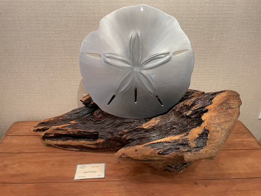HANDMADE SAND DOLLAR ON DRIFTWOOD PEDESTAL