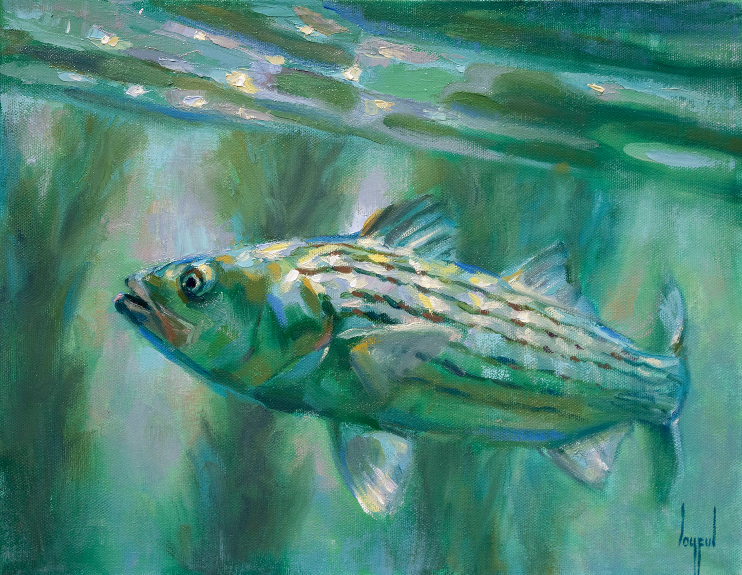 FISH FINDING ON GREEN DAYS