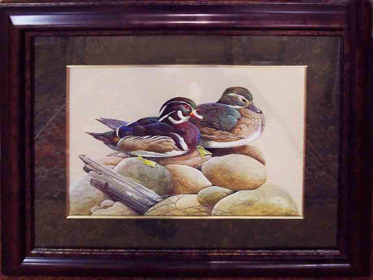 WOOD DUCKS